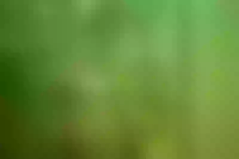 Live sex webcam photo for MikarinaeJames #4249958