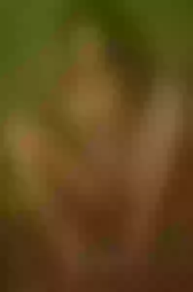 Live sex webcam photo for MikarinaeJames #4179298