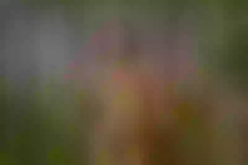 Live sex webcam photo for MikarinaeJames #4179297
