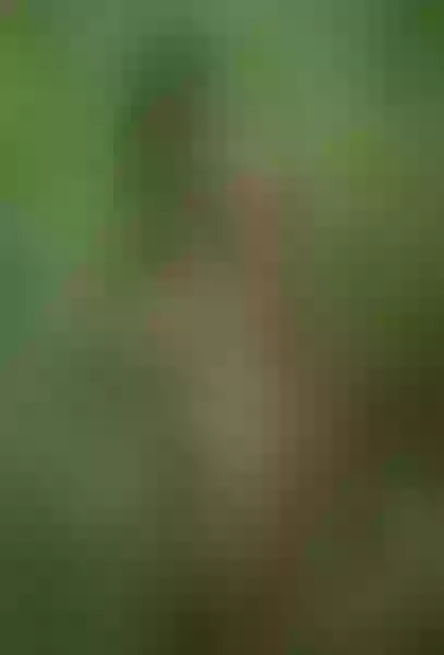 Live sex webcam photo for MikarinaeJames #4249954