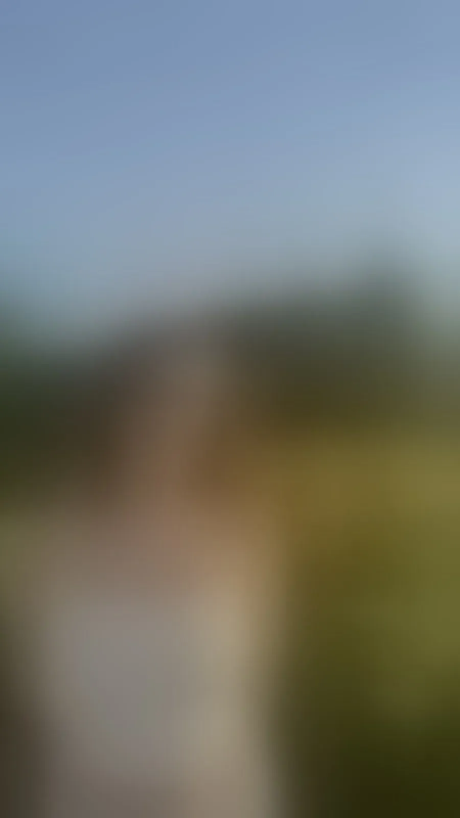 Live sex webcam photo for SofiaCasstro #8660150