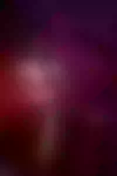 Live sex webcam photo for BonnyStonee #4090047