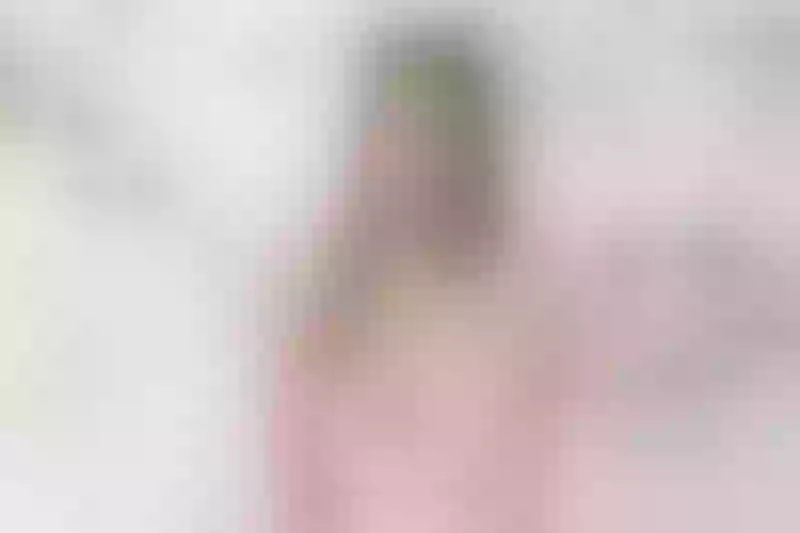 Live sex webcam photo for VictoriaRossi #4208357