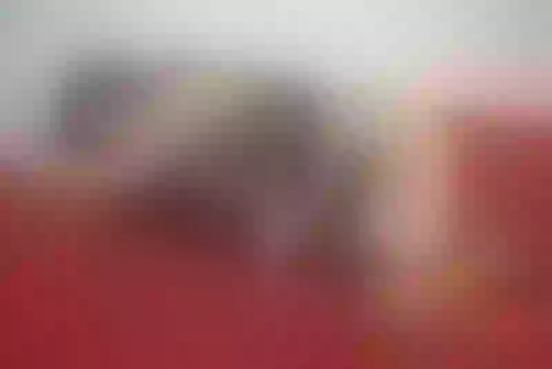 Live sex webcam photo for HoshiSnow #5318071
