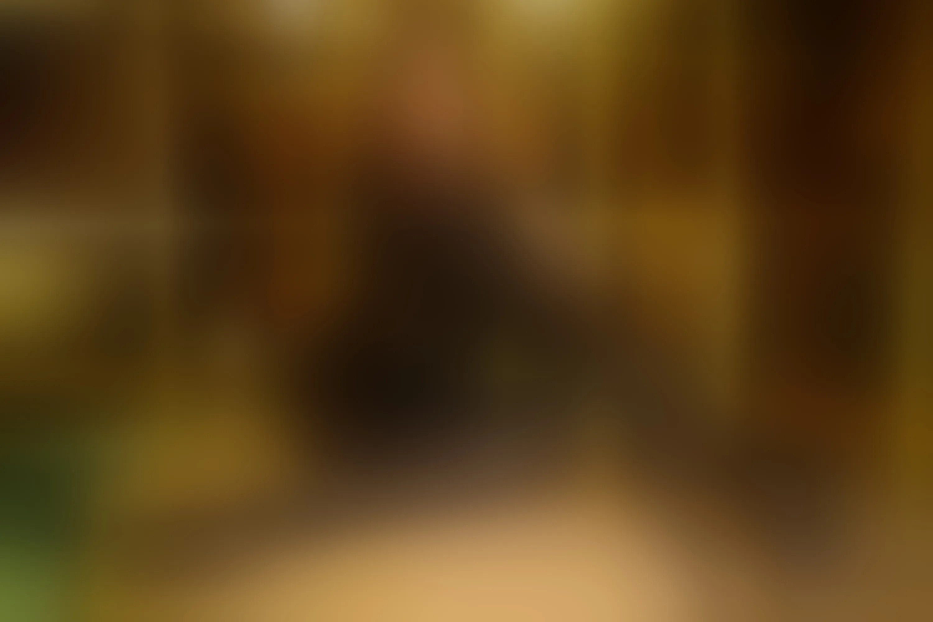 Live sex webcam photo for HelenaHelzen #7795943