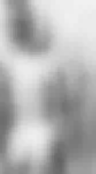 Live sex webcam photo for MeganMiller25 #7320196