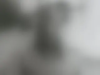 Live sex webcam photo for MeganMiller25 #7758590