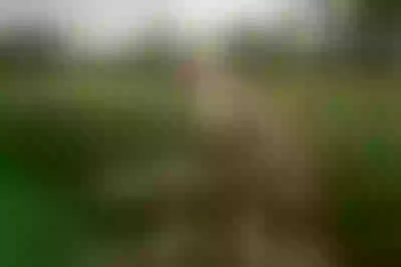 Live sex webcam photo for ChoeMoon #5370074