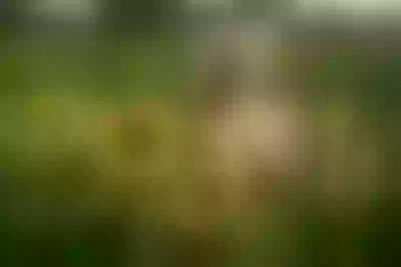 Live sex webcam photo for ChoeMoon #5370073