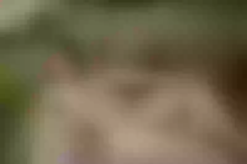 Live sex webcam photo for Kimmie212023 #5286763