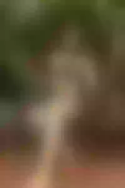 Live sex webcam photo for Kimmie212023 #5286760