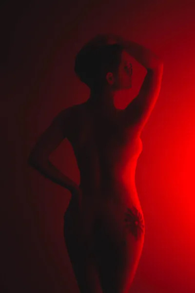 Live sex webcam photo for GraceThompson #6168418