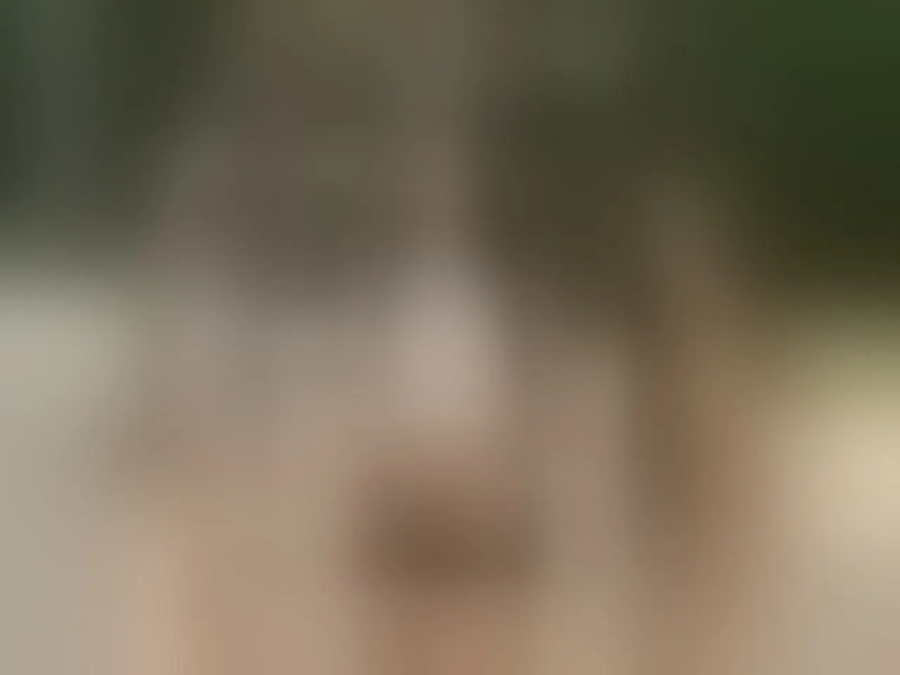 Live sex webcam photo for Milawinslet #8472895