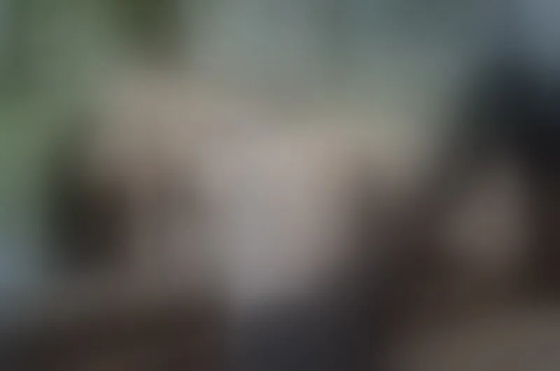 Live sex webcam photo for LouanneBour #4162980