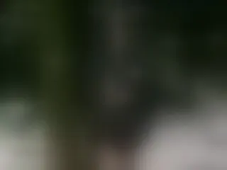 Live sex webcam photo for imlucyferreira #8326841
