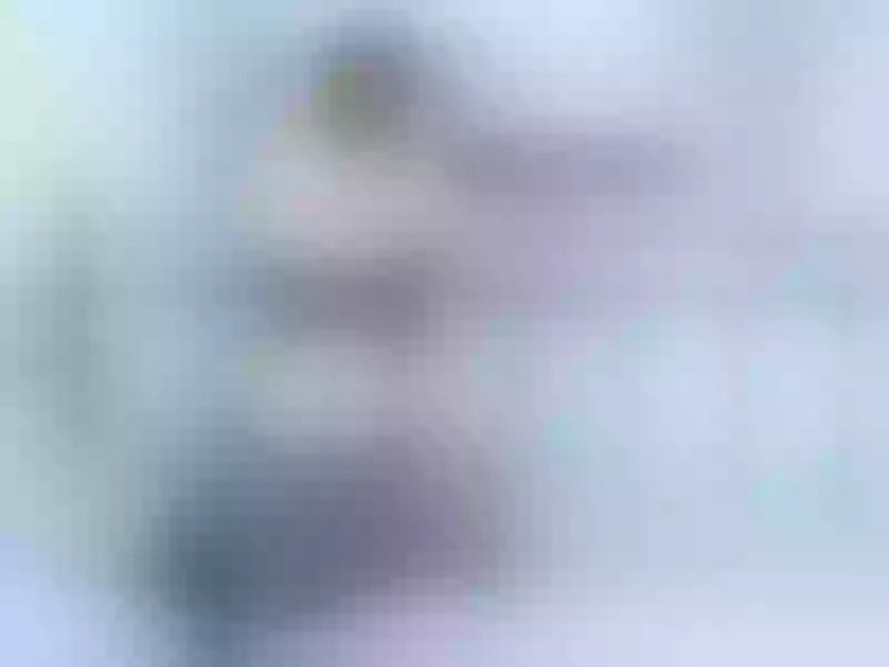 Live sex webcam photo for MadamM #4132032