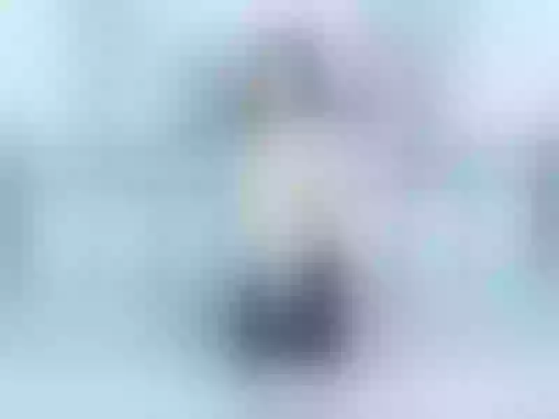 Live sex webcam photo for MadamM #4132044