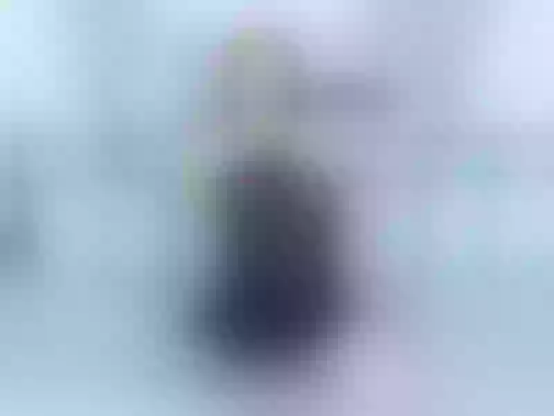 Live sex webcam photo for MadamM #4132043