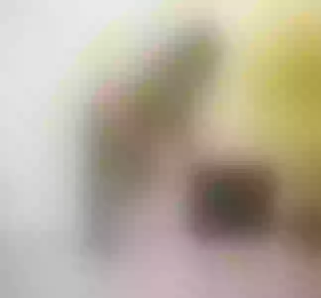Live sex webcam photo for MadamM #5891544