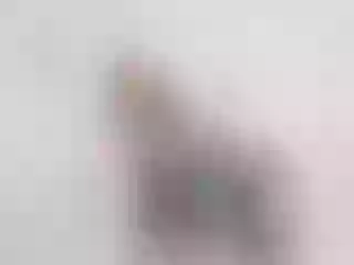 Live sex webcam photo for TracieLowe #7018241