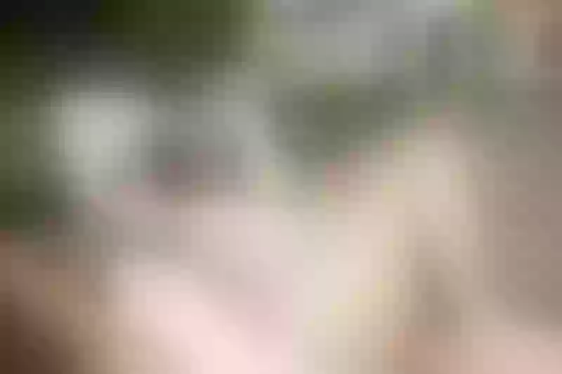 Live sex webcam photo for DulceeRoss #5313256
