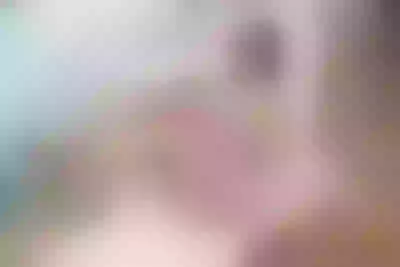 Live sex webcam photo for ElektraGB #7816967