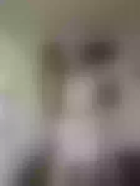 Live sex webcam photo for ElektraGB #7816971