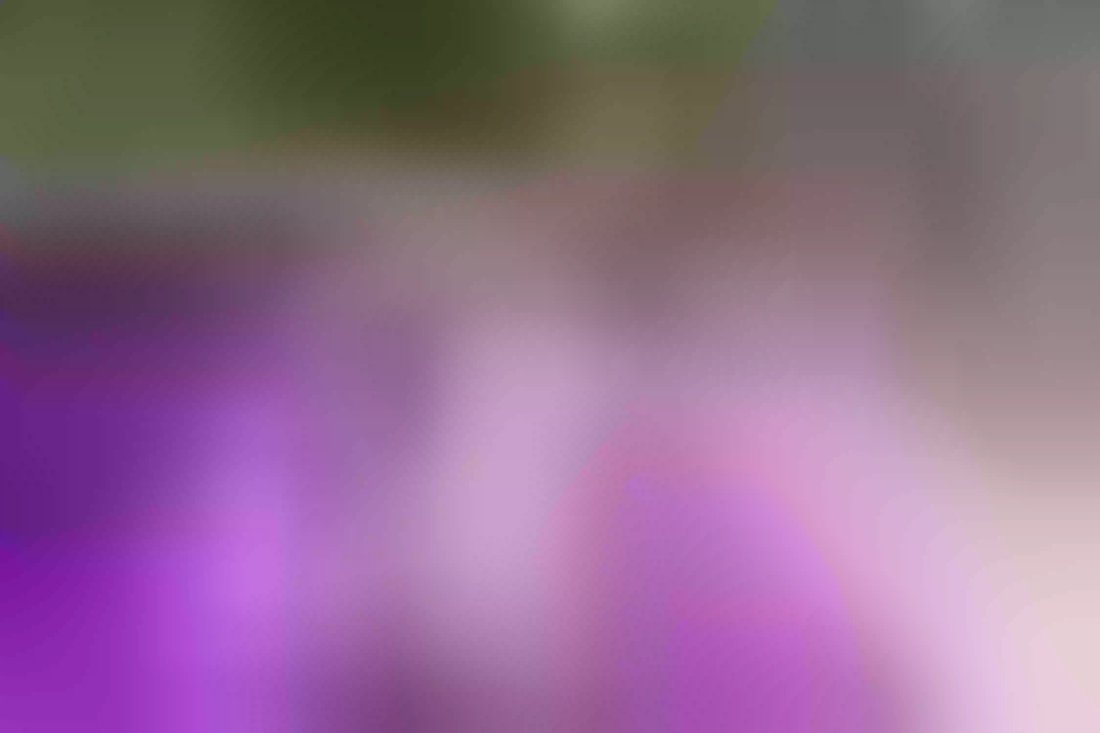 Live sex webcam photo for ElektraGB #7816837