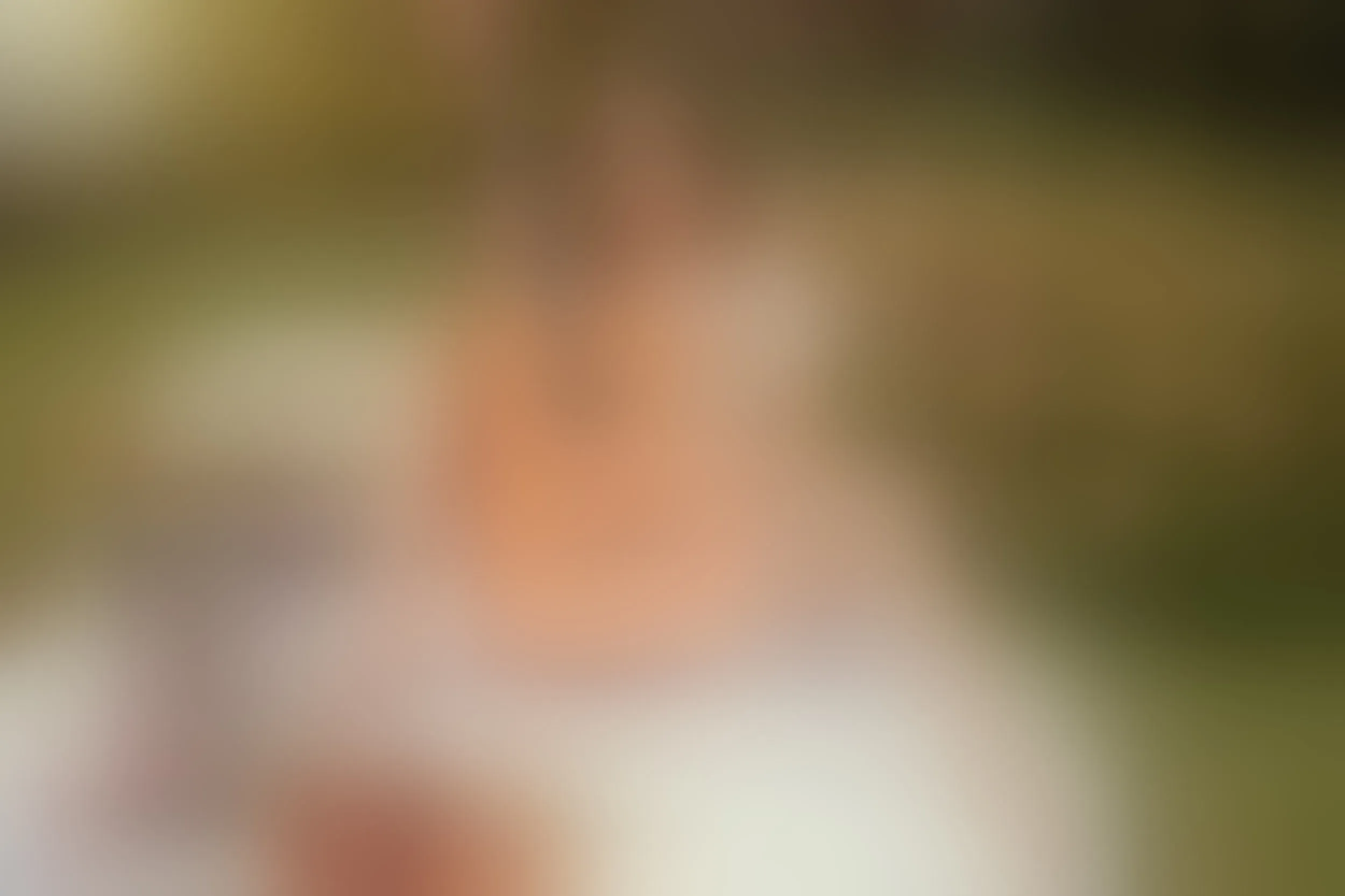 Live sex webcam photo for AshleyPusset #7354775