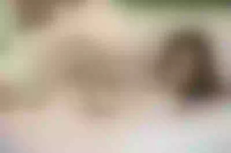 Live sex webcam photo for AmarahRose #4216617
