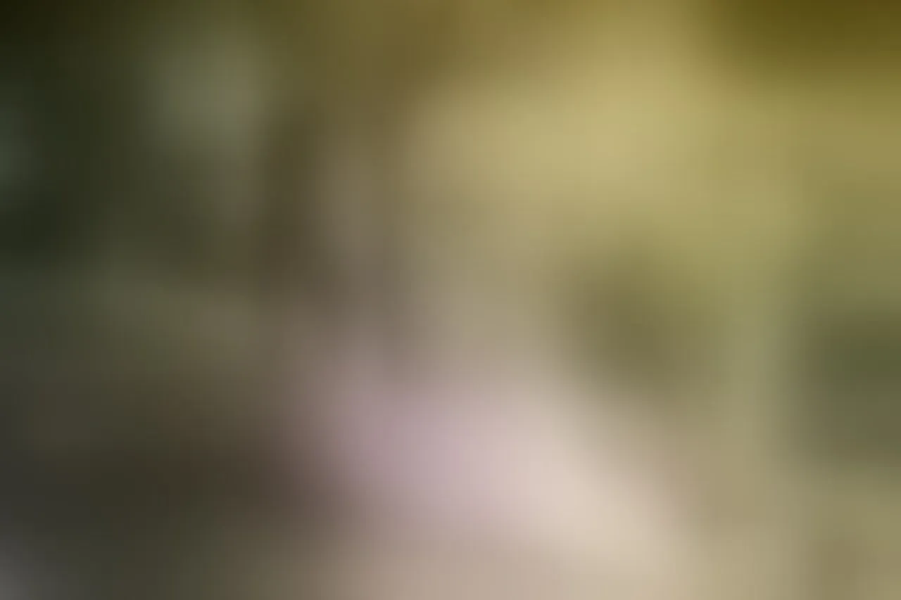 Live sex webcam photo for BlairColins #7151933