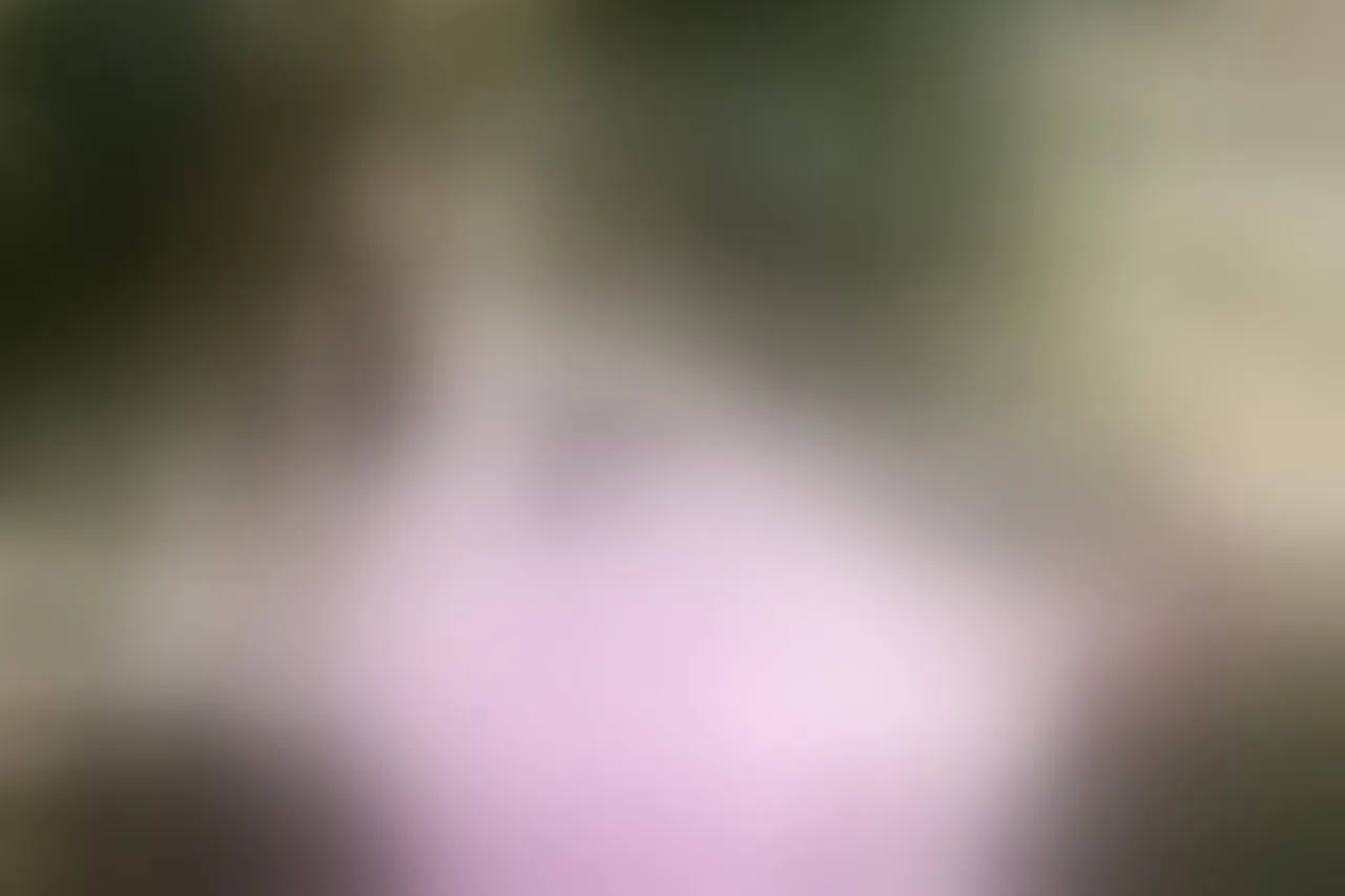 Live sex webcam photo for BlairColins #7151935