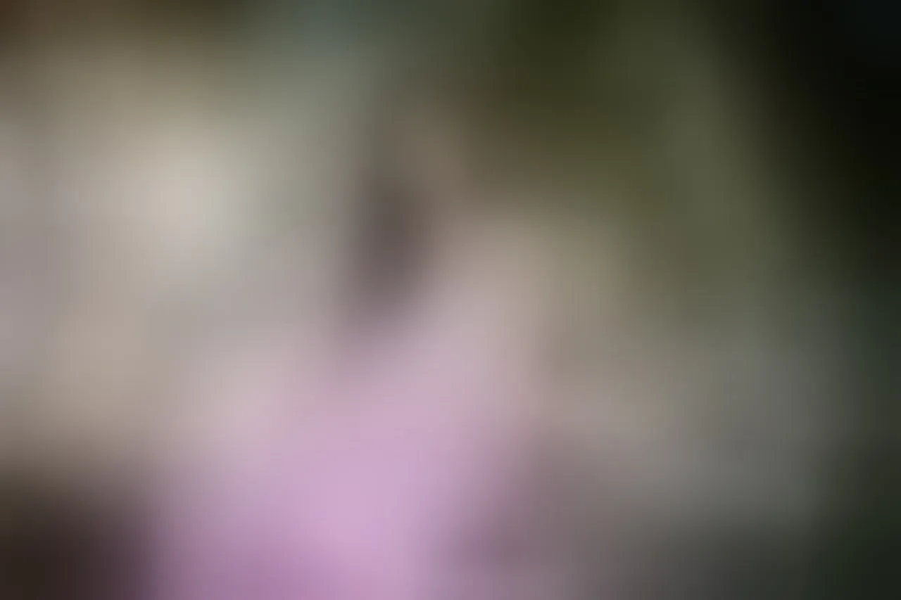 Live sex webcam photo for BlairColins #7151929