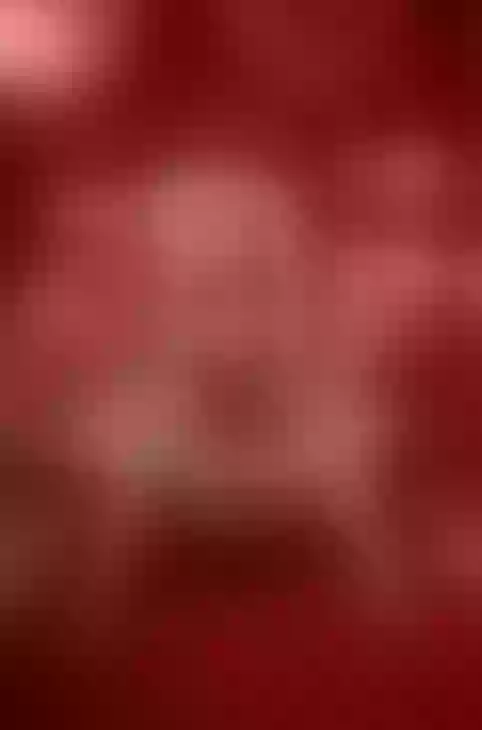Live sex webcam photo for JulietaAlves #7360200