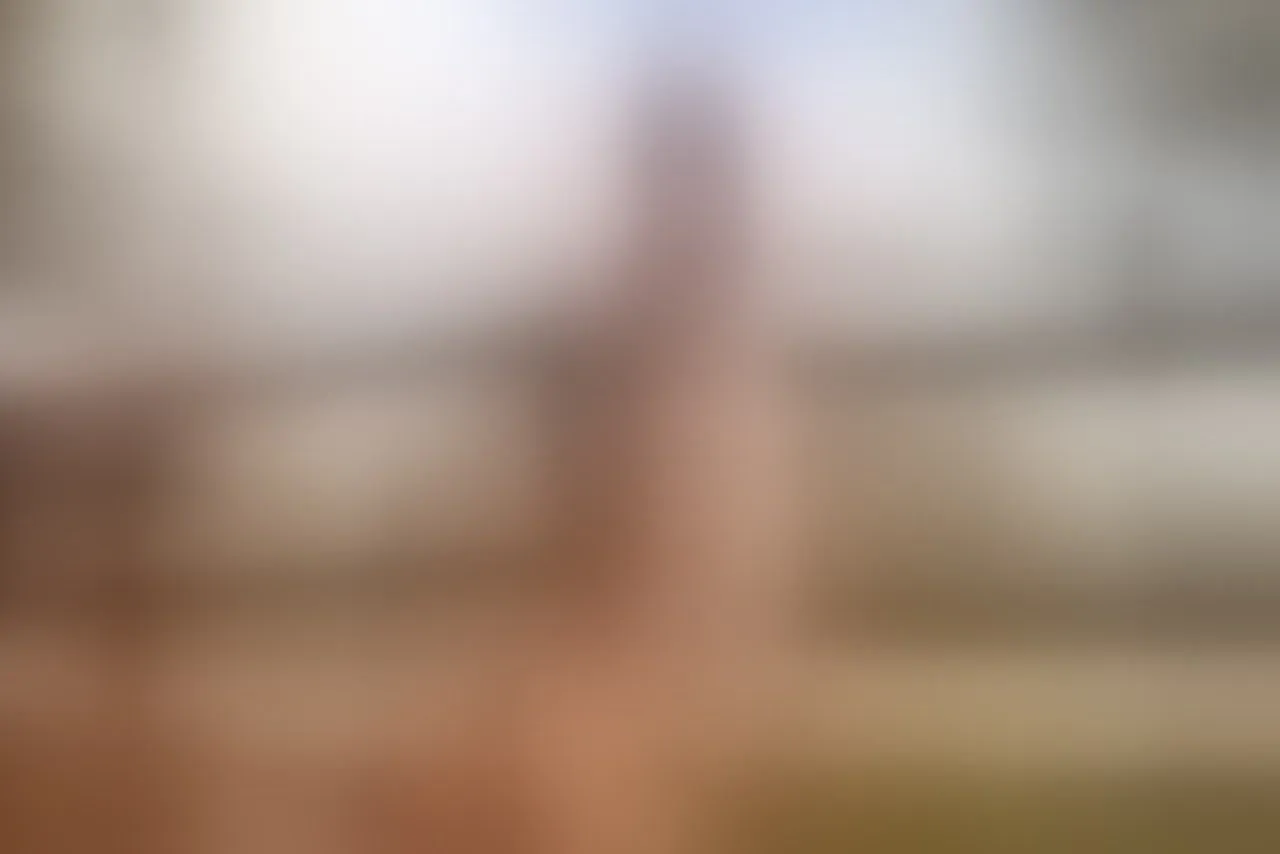 Live sex webcam photo for Missamaranthaa #8281473