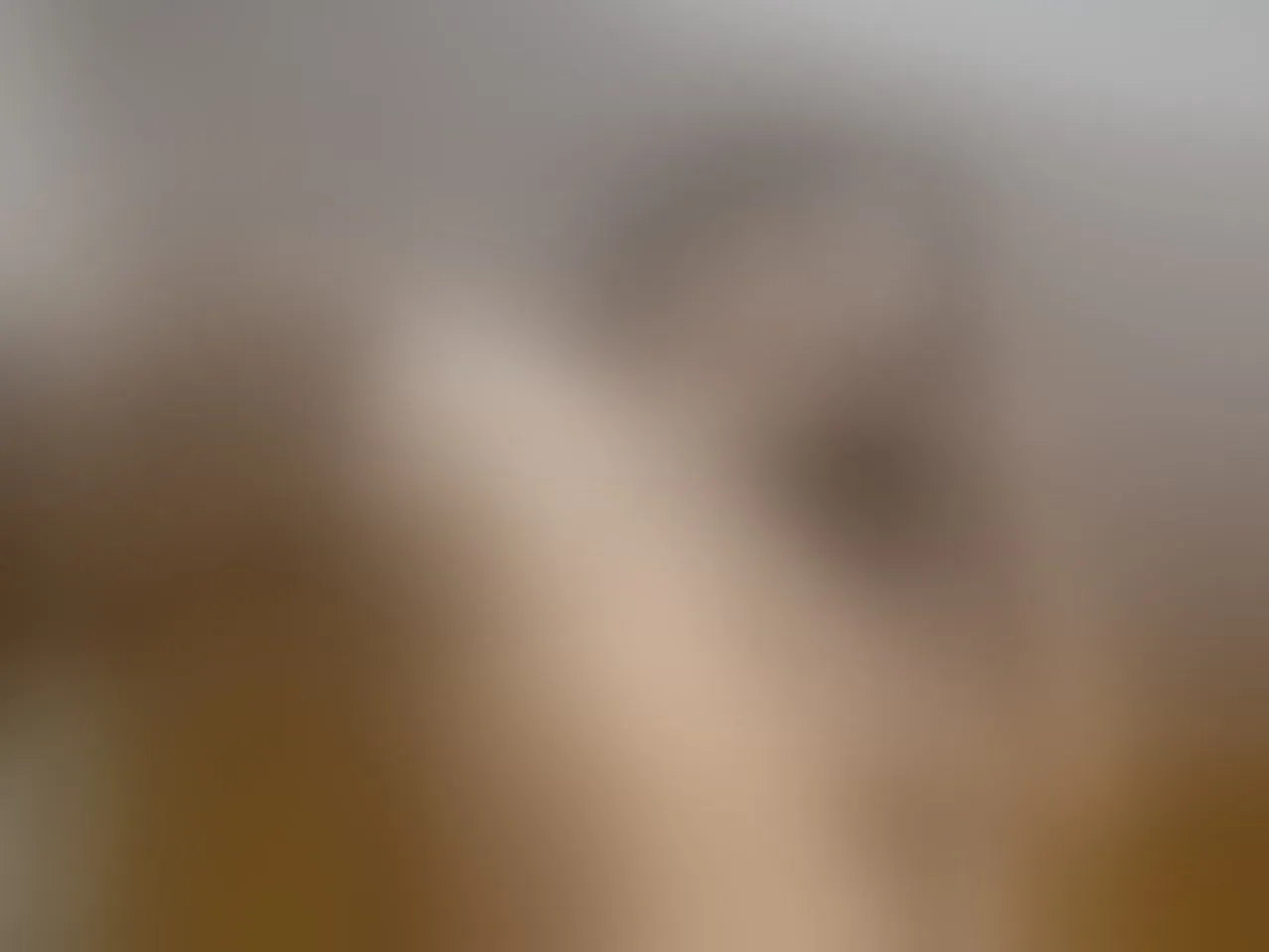 Live sex webcam photo for EbonyHorny19 #5833726