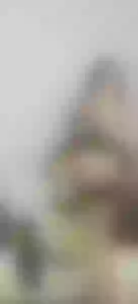 Live sex webcam photo for AfroVenus86 #8460395