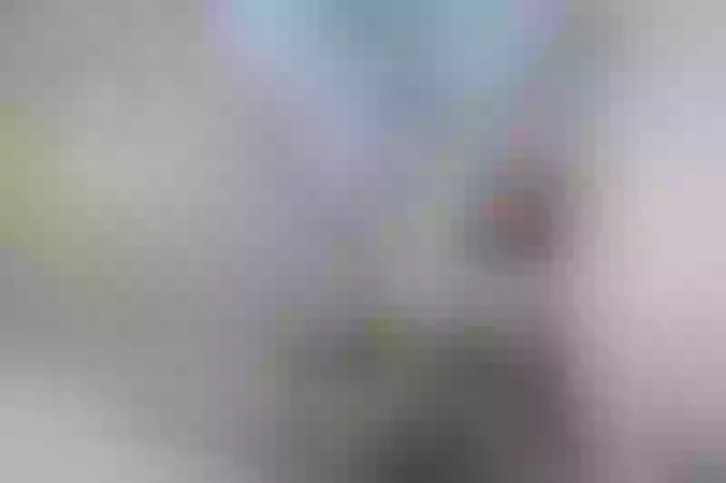 Live sex webcam photo for HelenRouse19 #4178969