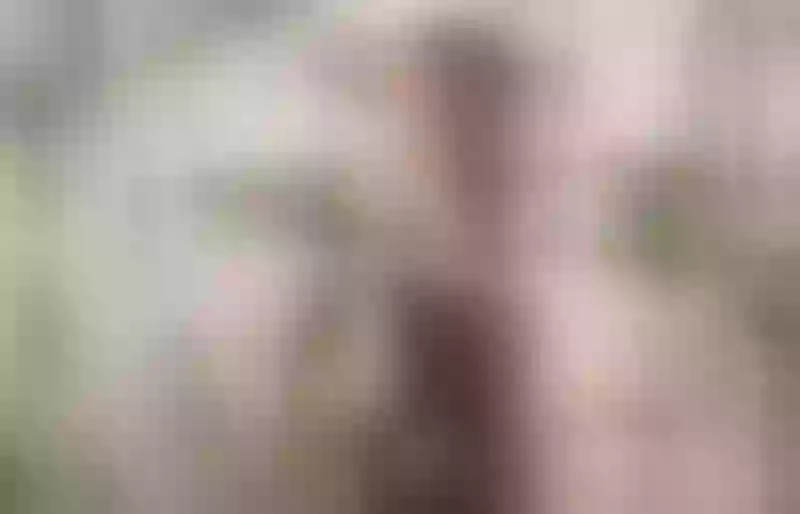 Live sex webcam photo for MelanieKane #7875895