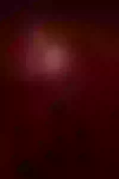 Live sex webcam photo for SofyHarper #4203999