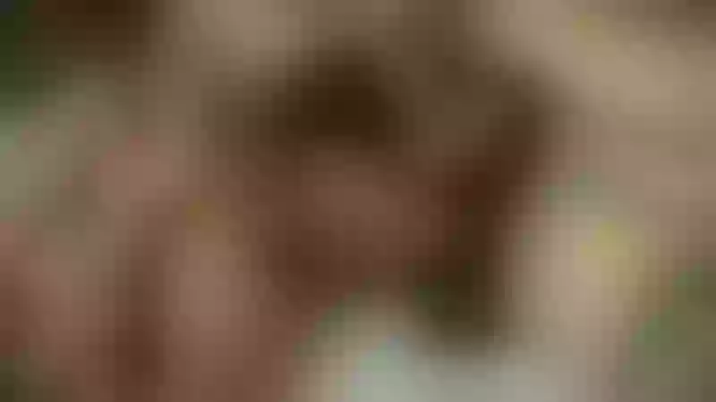 Live sex webcam photo for JadeThonson #6227034