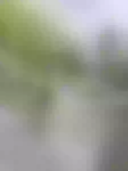 Live sex webcam photo for JadeThonson #6137715