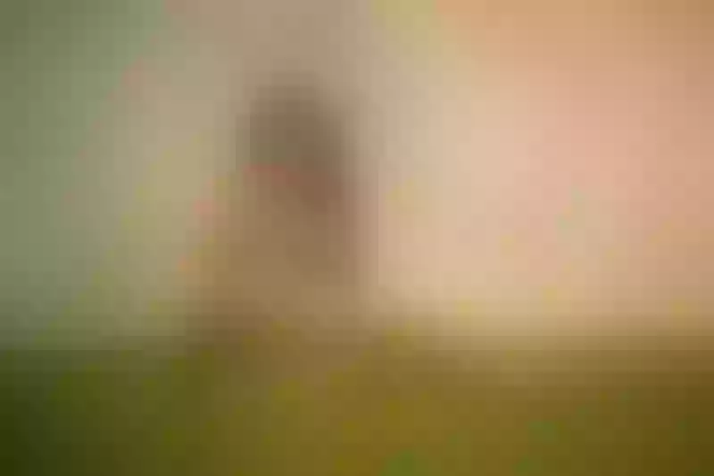 Live sex webcam photo for JadeThonson #6137674