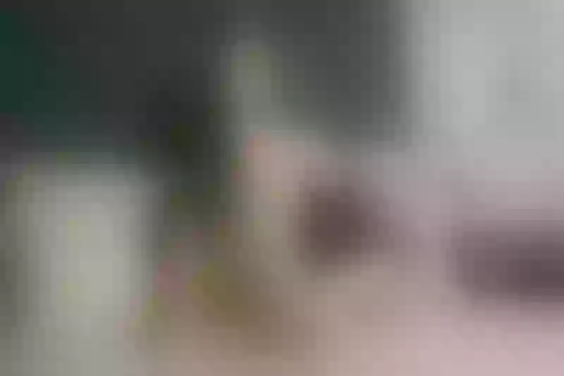 Live sex webcam photo for KloeDarling #4246672