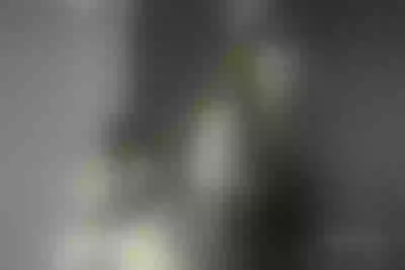 Live sex webcam photo for KloeDarling #4246677