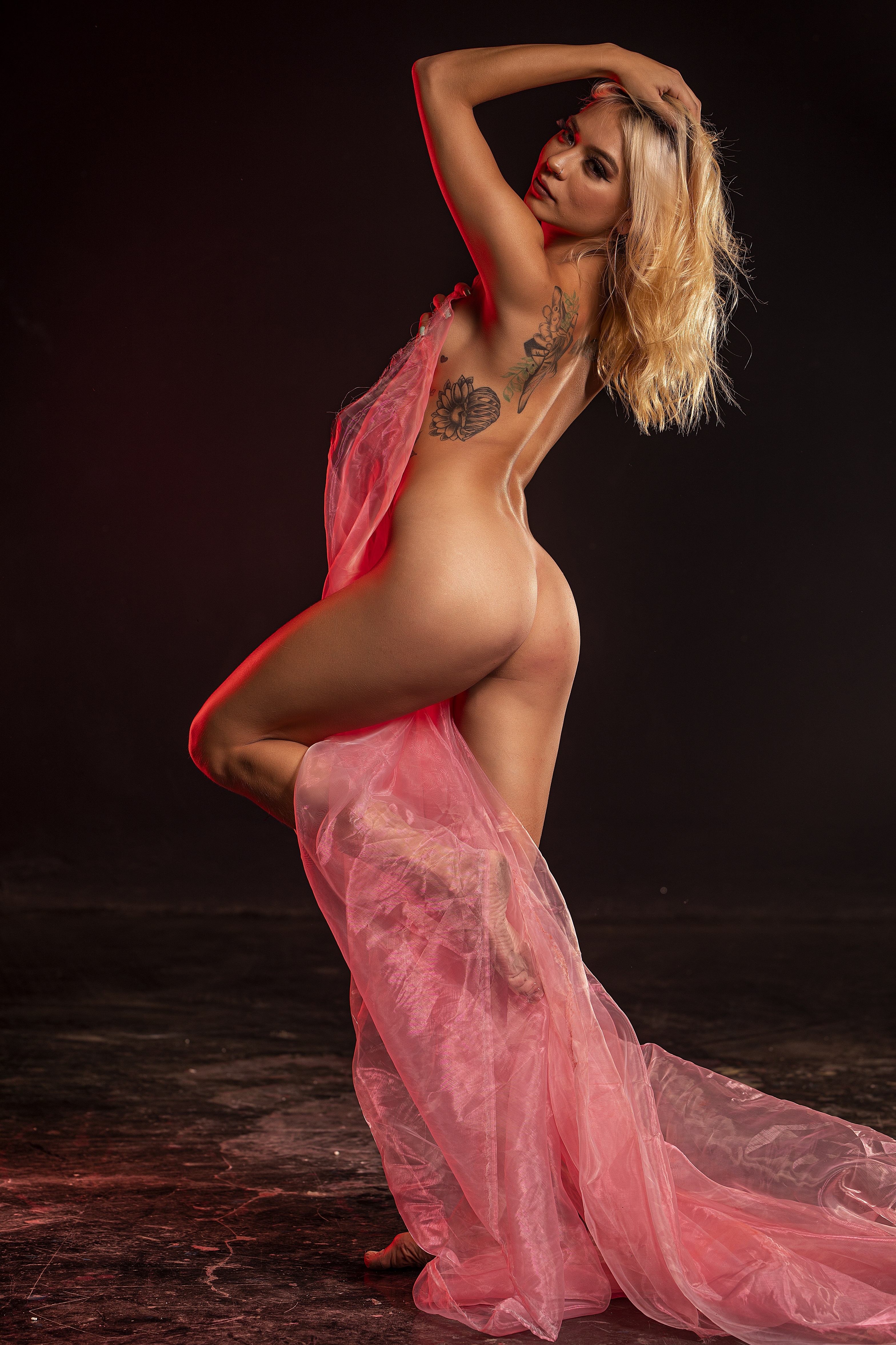 Live sex webcam photo for AliceLauderr #7832005