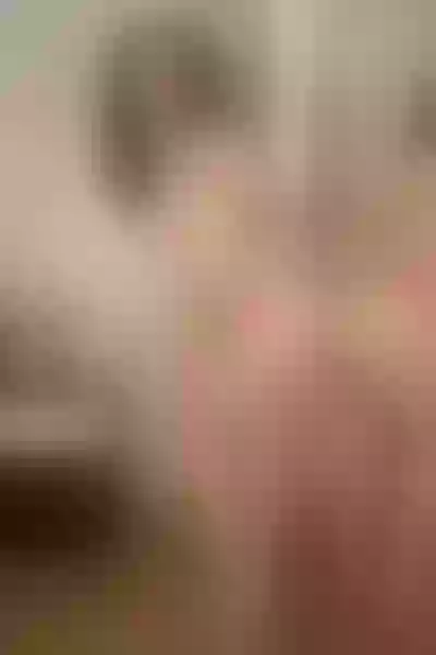 Live sex webcam photo for MarrielleSmith #4265281