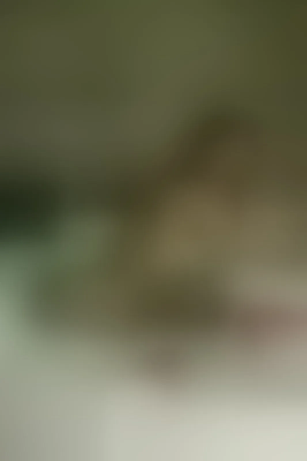 Live sex webcam photo for ChloeLuxX #7215396