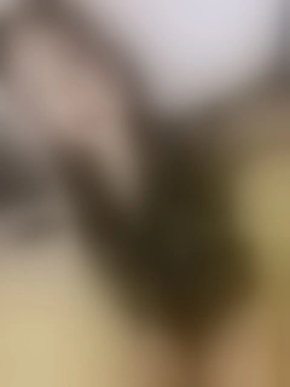 Live sex webcam photo for IrisDurand #7410683