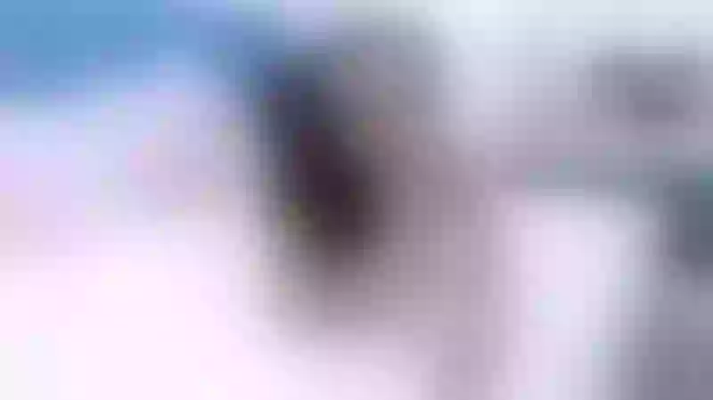 Live sex webcam photo for EvaLennox #5882678